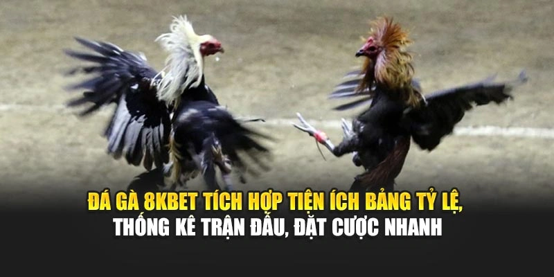 Đá gà 8KBET tích hợp tiện ích bảng tỷ lệ, thống kê trận đấu, đặt cược nhanh