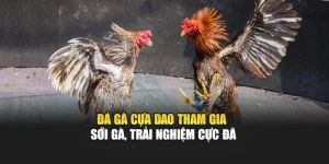 Đá Gà Cựa Dao – Tham Gia Sới Gà, Trải Nghiệm Cực Đã